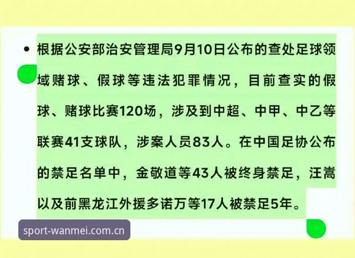 中国足协第三批禁足名单公布，17人被终身禁足，WM完美体育平台全程追踪最新动态